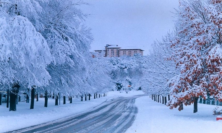 Ifrane